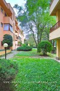 quadrilocale signorile terrazzi besana foto5