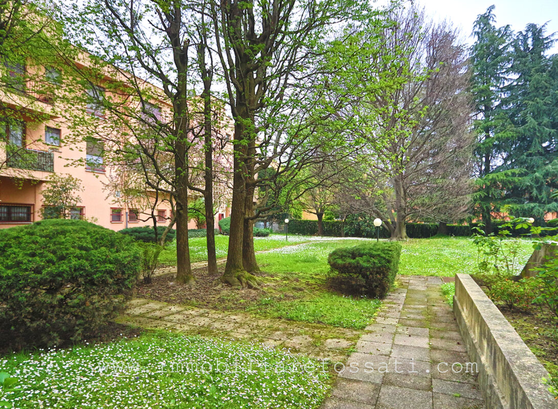 quadrilocale signorile terrazzi besana foto15