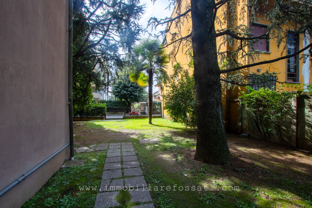 trilocale ristrutturato terrazzo lissone foto7